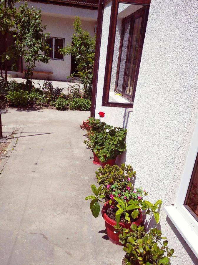 Саид отель сухум. Саид отель сухум. Guest house bagrat фото. Гагра абхазия гостевой дом саид. Абжуйское шоссе 17 сухум.